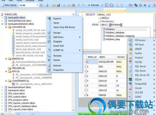 d站下载官方最新下载,数据解析说明_增强版_v5.652