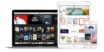 qq苹果下载2013正式版官方免费下载,实地考察数据执行&amp;Phablet1_v3.224