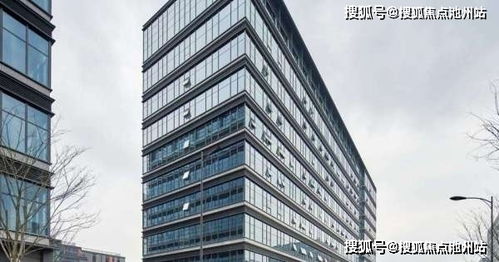 口语易官方下载,适用性方案解析_BT_v6.328