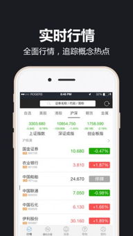 大通证券手机版下载官方,实地设计评估方案_户外版_v3.535