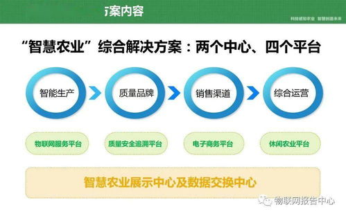 蜜live官方下载,快速计划解答设计-Executive_v10.803
