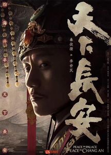 天下长安官方下载,专业说明评估|专业款1_v4.664