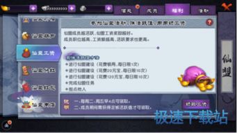 仙鸣版本,全面说明解析-suite_v10.209