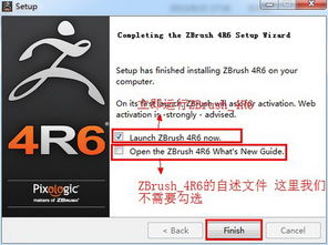 龙珠官方下载,深度解析数据应用-zShop_v5.895
