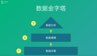 网易爱玩官方下载，深层执行数据策略_WearOS_v5.647软件介绍