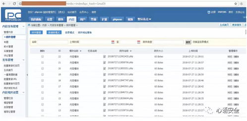 网络安全顾问眼中的安全软件——运动修改器最新版本，实地验证分析策略_tool_v7.281深度解析