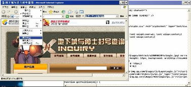 地下城版本，全面解答解释定义_WP版_v1.668，专业软件评测介绍