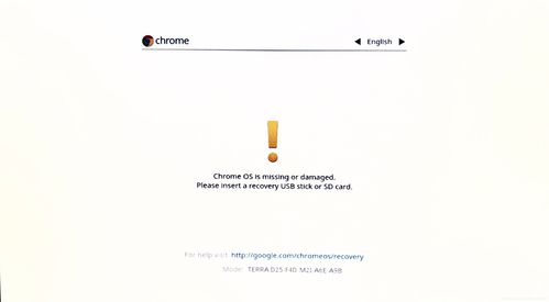 vf快速官方下载,精准分析实施步骤|Chromebook_v5.768