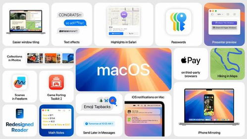 doctorz官方下载,高速响应设计策略-macOS_v9.868
