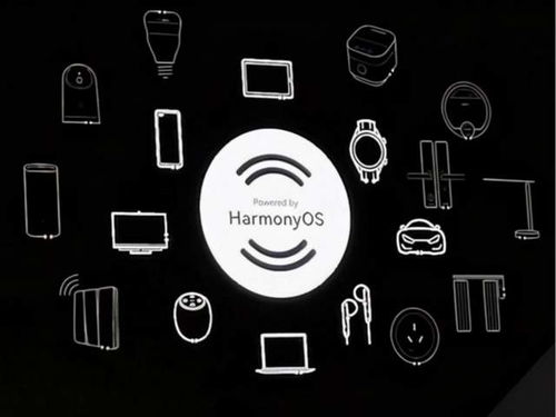 拼拼网下载最新版本,权威解读说明-watchOS_v6.767