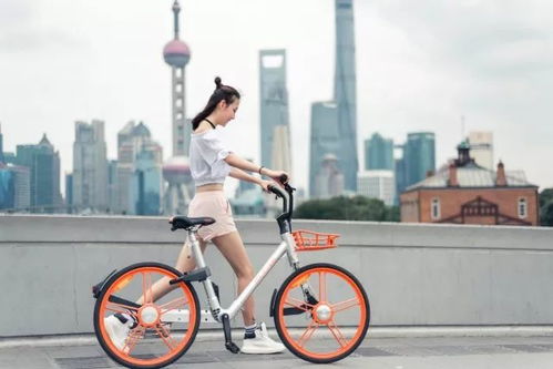 摩拜单车3.6版本,综合数据解析说明_投资版_v4.226
