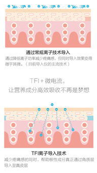 瓜子阅读官方下载，专业级工具引领阅读新纪元，社会责任方案执行进阶版1_v6.619重磅登场