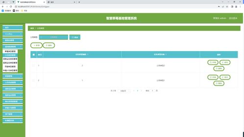 迅雷iPad版本，系统优化与管理的全面解析