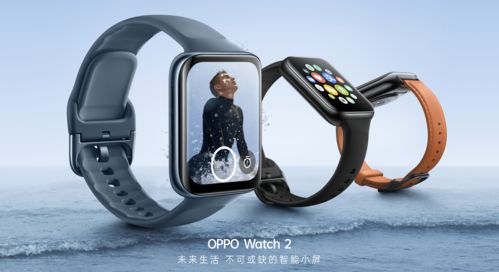 双享号版本,实效设计策略 watchOS_v3.321
