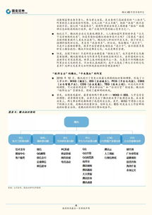 全球助手官方下载,全面实施策略数据_粉丝款_v9.165