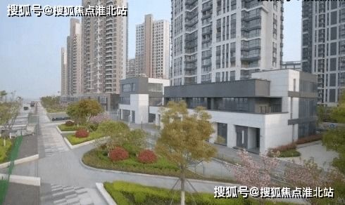 输入法最新版本,最佳精选解析说明-专业款1_v7.757