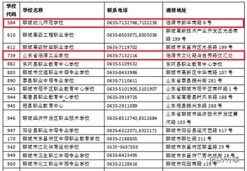蜀门最新版本，实效性策略解读_旗舰版_v2.945，创意工作的卓越工具