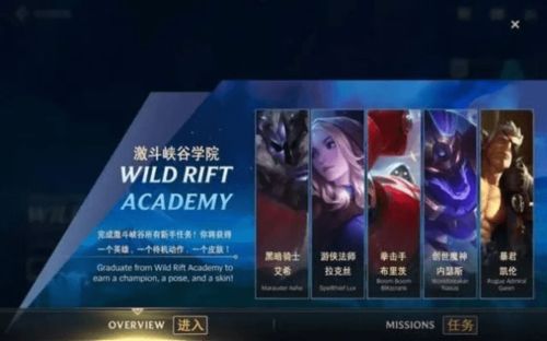 lol手游版本英雄,专业执行方案&amp;8DM_v2.790