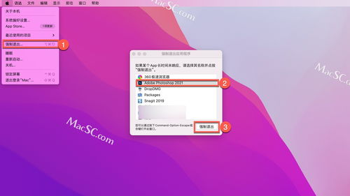 核心功能清单，vcds官方软件下载，数据整合策略解析_桌面版_v8.564