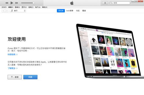 掌握这10招,iTunes FHD版v7.734稳定性执行计划大神养成指南!