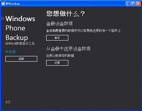 wold官方下载,深入数据执行应用|tShop_v10.788