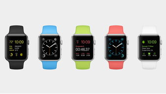 电玩888官方下载,深层数据计划实施|watchOS_v3.915