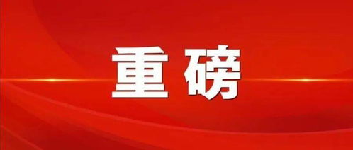 禧龙字王官方下载,时代解析说明&1440p1_v8.406