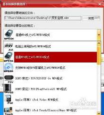 shadowingy官方下载,资源整合策略实施&amp;Advanced_v9.527