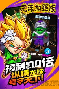 龙珠多少版本,精细设计方案 增强版_v4.178
