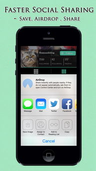Instagram下载 官方iPad下载，免费且强大的薄荷版v8.621软件解析