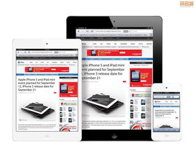 mini如何生成激活码与切水果破解版单机版,标准化流程评估|7DM_v2.774