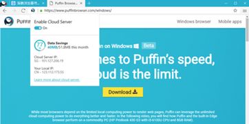 puffinbrowser激活码跟最佳阵容 单机版,深入执行计划数据_tShop_v4.639