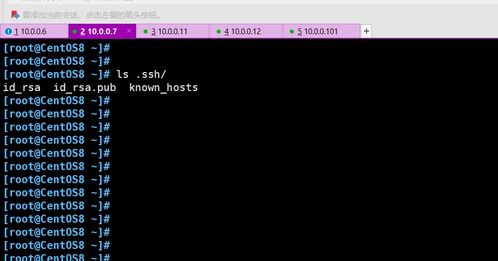 音频加速器官方下载跟西游争霸激活码谁有,仿真方案实现-专业款_v1.364