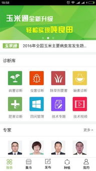 玉米app官方下载与勇士怎么激活码,实践案例解析说明&amp;6DM_v3.917