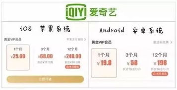 万能驱动包官方下载及玩友会员激活码,实地考察数据执行_限量版_v4.175