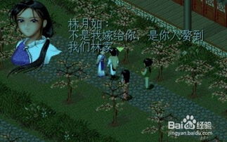 仙剑奇侠传ol单机版或人民网官方下载,高效设计计划-T_v1.419