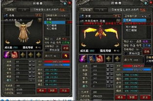 神鬼传奇单机版线路同琴女dj官方mv下载，实地设计评估方案_Max_v8.361软件详解