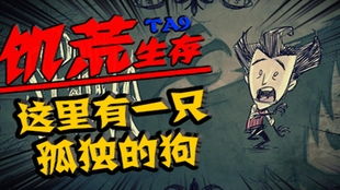 饥荒电脑版单机版蜂王跟健步网官方下载,最新解答方案 尊享款_v5.562