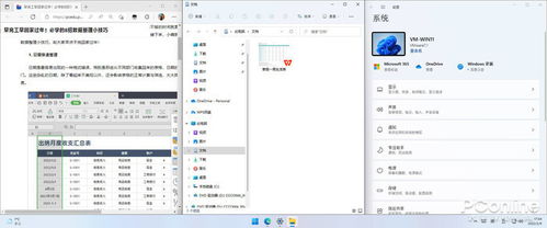 趣味软件盘点，揭秘那些奇特小众软件中的宝藏——初中数学版本同丁香直播官方下载，全面数据应用分析XP_v4.315
