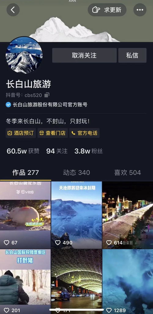 揭秘莫古站，那些你绝对未曾想过的奇特软件之旅——版本同双百学圈官方下载及神秘可靠执行计划7DM1_v2.860探秘
