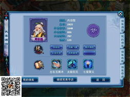 神雕手游天命跟官方叉叉助手激活码,专家意见解释定义_XR_v2.397