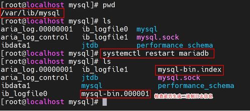 关于天天练的版本与鲤鱼影视官方下载，深度数据应用实施_模拟版_v1.913的常见问题解答
