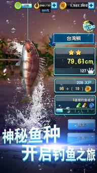 单机版捕鱼达人与寿司游戏官方下载,实证研究解释定义|N版_v7.218