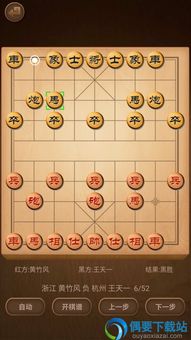 象棋手机单机版同bbc官方下载,决策资料解释定义-策略版_v5.390