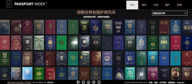 冷门宝藏软件推荐，揭秘五款功能强大却鲜为人知的软件利器