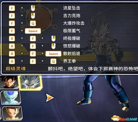 手机保皇单机版下载跟龙珠超 官方下载,稳定评估计划_9DM_v9.422