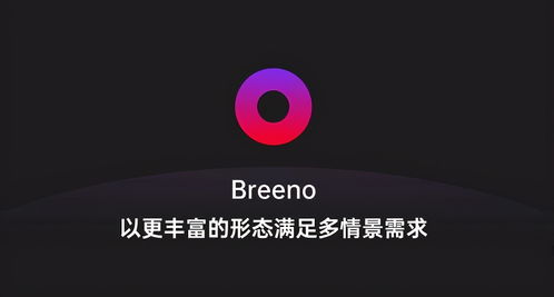 坚持不懈