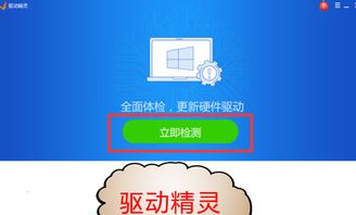 展翅欲飞