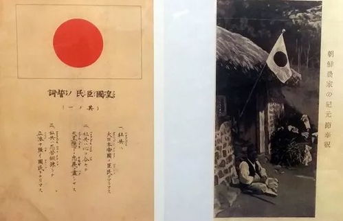 app资讯 第4页
