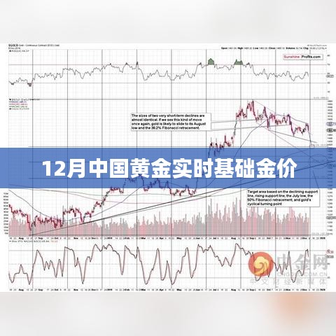 第1537页